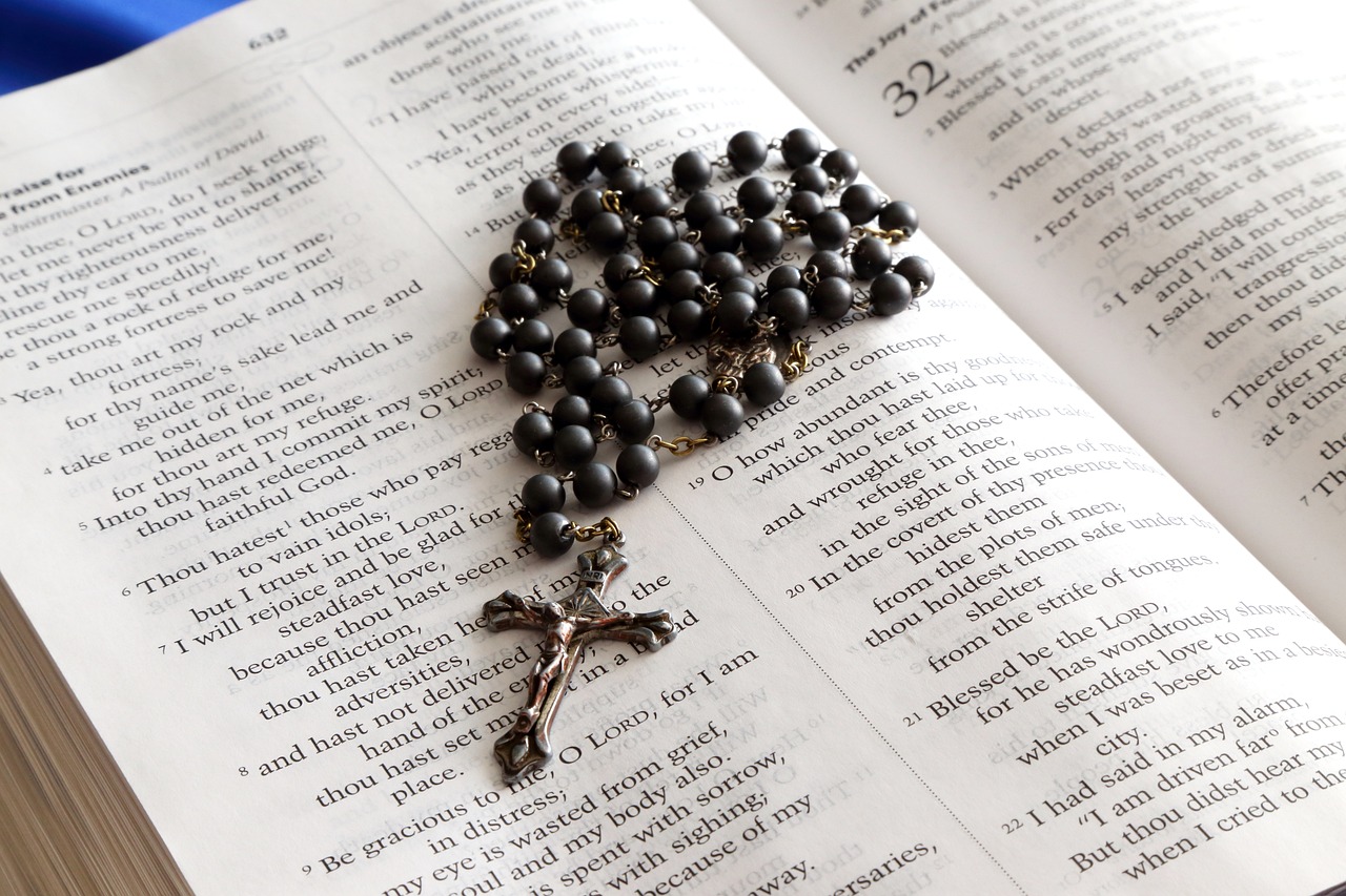 Pray the Holy Rosary
